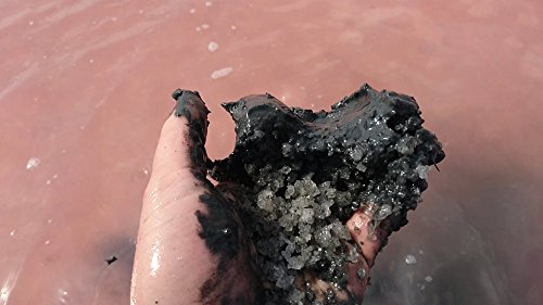 SIVASH-Heilerde Medizinprodukt zur äußerlichen Anwendung. Gebrauchsfertiger Meeresschlick in natürlicher Form. Natürliche Hilfe bei Rheuma, Arthrose, Arthritis, Gicht, Überbein (Ganglion), Akne, Psorasis, Neurodermitis (15kg)