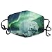 Produktbild Northern Lights Polar Bear Classic Crew Dustproof Earloop Face Masks for Women Men, Anti Flu Pollen Germs Climbing Climbing Half Face Mouth Mask - Anti Allergy Face and Nose Cover