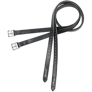 BUSSE solibel Steigbügelriemen GLORY