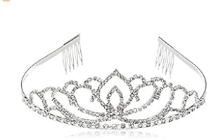 Toruiwa Diadème Couronne Princesse avec Peigne Cristal Strass pour Mariage Anniversaire pour Femme Fille