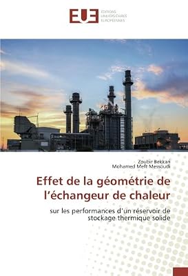 Effet de la geometrie de l'echangeur de chaleur: Sur les performances d'un reservoir de stockage thermique solide