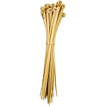 bambus artikel shop Bambus schwarz - Phyllostachys nigra