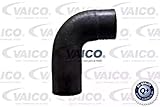 V30-1064 VAICO V30-1064 - Manguera para radiador