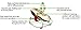 Tiny Love 3-in-1 Rocker Napper (Brown)