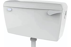 Taps2Traps® Exposed Wall Mounted Lever Toilet Low Level Flushing Cistern Tank - Side Entry