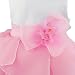iiniim Baby Girls Princess Sleeveless Organza Tutu Dress Birthday Party Baptism Clothing Pink 12-18 Months