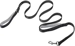 AmazonBasics Double Handle Light Reflecting Dog Leash, Black, 6