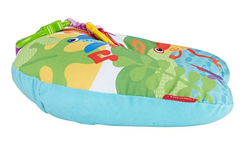 Imagen 3 de Fisher-Price Cojín de Actividades para bebé recién Nacido (Mattel CDR52)