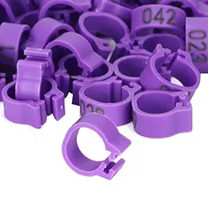 100pcs Birds Foot Rings Number Pigeon Identification Rings Pigeon Leg Bands Poultry Clip Ring Bird Supplies(Orange)