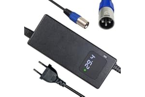 YANGZIDIANYUAN Chargeur Batterie Li-ION 24V, pour Fauteuil Roulant électrique, Scooter électrique, vélo électrique, 29,4V 4A AC Adaptateur d'alimentation Rapid Charger Fan Cooling Connecteur XLR mâle 3 Broches