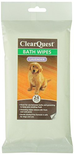Clearquest-US6226-24-51-Bath-Wipe-24Pk-Bag-Lavender