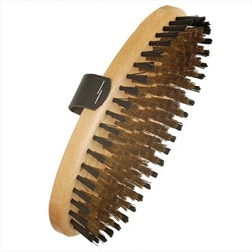 Spazzola in ottone con filo in ottone e setole in nylon per la cura del pelo di bovino e cavalli.