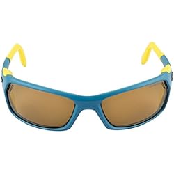 Julbo Bivouak Cameleon SGL - Gafas de esquí, color Multicolor, talla única