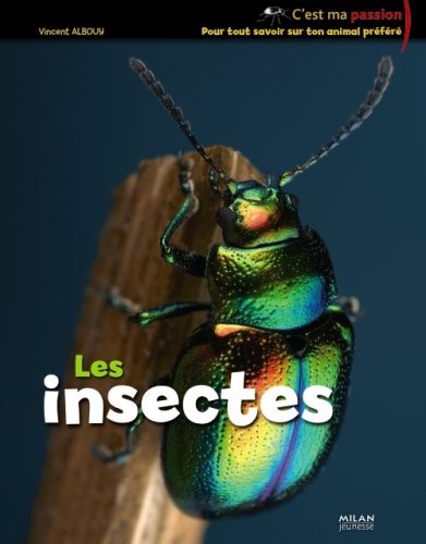 <a href="/node/12217">Les Insectes</a>