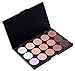 LyDia 15 Colours Cream Concealer/Highlight/Face Contour Camouflage Palette Dull/Redness Skin/Black Circle kit set + LyDia Black Foundation/Concealer Brush F-010