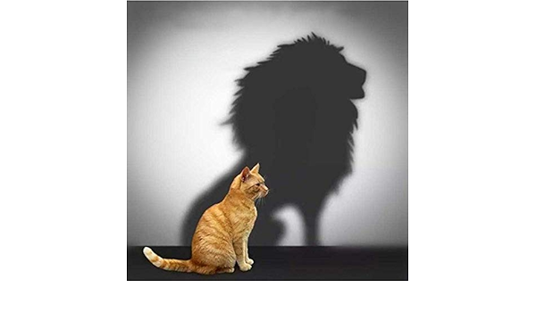 T Yxm 5d Diy Diamant Peinture Chat Reflet Lion Full Drill Crystal Embroidery Pictures Artisanat Pour La Decoration Interieure Amazon Fr Cuisine Et Maison