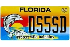 OPO 10 - USA car LICENSE PLATE - 30x15 cms metal replica: FLORIDA (C13)