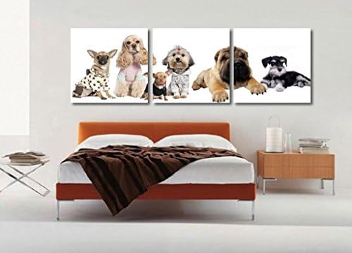 Gallery Canvas Art-Modern Home Decoration Wall Art Painting,Cute Dogs Picture, 3 Panles Giclee Canvas Print, Ready to Hang #02JD-10091ABC