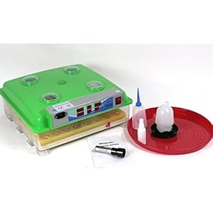 Brutmaschine BK55LUX Modell 2018 LOW NOISE VOLLAUTOMATISCH + Zubehör, 55 Eier , Brutautomat, Inkubator