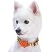 Produktbild Blueberry Pet Herbst Fest Mondheller Truthahn Designer Hundehalsband mit Deko, Hals 37cm-50cm, M, Festtags-Halsbänder für Hunde