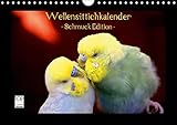 Wellensittichkalender - Schmuck Edition (Wandkalender 2016 DIN A4 quer): Mit dem brandneuen Wellensittichkalender des Naturfotografen Björn Bergmann ... (Monatskalender, 14 Seiten) (CALVENDO Tiere) by