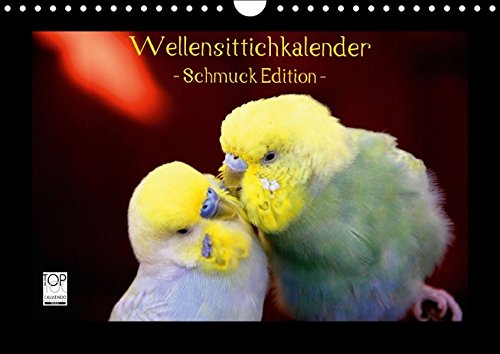 Wellensittichkalender - Schmuck Edition (Wandkalender 2016 DIN A4 quer): Mit dem brandneuen Wellensittichkalender des Naturfotografen Björn Bergmann ... (Monatskalender, 14 Seiten) (CALVENDO Tiere)