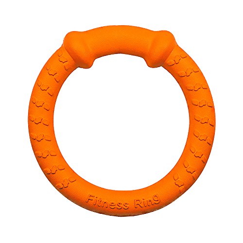 Dentition chien anneau et soins dentaires Jardingue