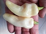 Habanero Chocolate y Habanero Gigante Blanco con guía de cultivo (idioma español no garantizado).