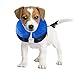 Produktbild Xigeapg Aufblasbarer Haustier-Schutz-Abdeckung-hoher Qualitaet waschbarer schuetzender Kragen Fuer Border-Collie, Spaniel, Etc. (M)