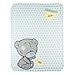 Me To You Tiny Tatty Teddy Pram Blanket