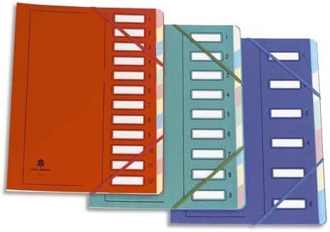 Extendos Mon Dossier Separator File 9 Compartments Laminated Card Blue
