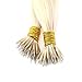 Sunny 60# Bleach Blonde Micro Nano Ring Hair Extensions 16" 50g Silky Straight Remy Human Stick Tip Nano Extensions Hair