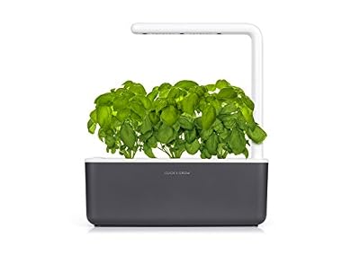 Click & Grow Smart Garden 3 jardinière d'intérieur 30 x 10 x 28 cm Gris anthracite (contient 3 capsules de basilic)