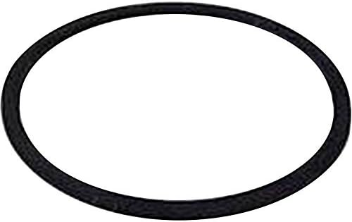 Kart Rotax Max Dellorto Genuine Float Bowl ORing Carbing New