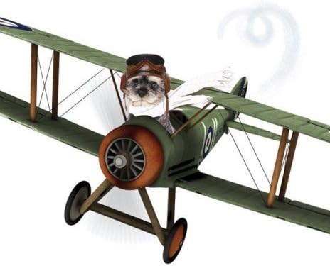The Aviator Schnauzer Blank greeting card