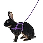 Kerbl - Imbracatura per spalle agilità con guinzaglio, misura media, 2 m