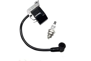 sallygardens Ignition Coil Module and Spark Plug Fits For Stihl BG55 BG65 BG85 BG45 BG46 BR45 SH55 SH85 AM42 Handheld Leaf Blower Replace 4229 400 1300