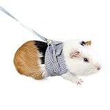 ★ Puede evitar que la mascota se pierda eficazmente. Ideal para caminar y entrenar a tus mascotas.