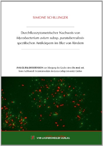 Durchflusszytometrischer Nachweis von Mycobacterium avium subsp. paratuberculosis-spezifischen Antikörpern im Blut von Rindern