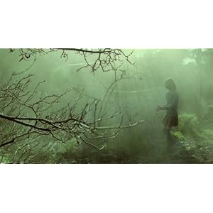 The lost explorer