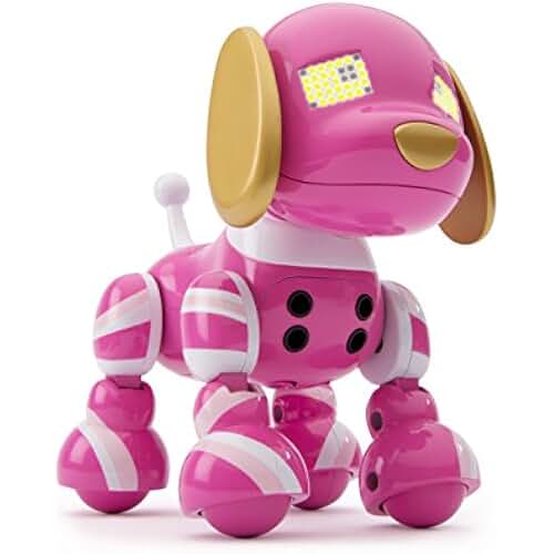 Suchergebnis auf Amazon.de für hund befehle