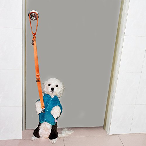 Yunt-Pet-Dog-Housetraining-DoorbellPotty-Toilet-Dog-Bells-to-Training-and-Communicate-With-Your-Dog