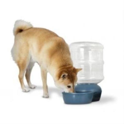 Aspen-Pet-Le-Bistro-Auto-Gravity-5-Lb-Pet-Feeder-by-Petmate