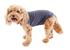 Belly Guard Dog Recovery Onesie - Cone, E Collar Alternative - After Surgery Wear (X-Small, Grey)