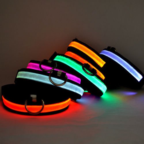 DOG-COLLAR-pet-LED-light-up-flashing-luminous-night-safety-coloured-bright-VARIOUS-COLOURS-AVAILBLE-UK-SELLER
