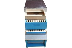 Mondo Ape Arnia per Api da Nomadismo Db 10 Favi Verniciata – Melario Incluso – Telaini e Ferramenta Compresi – Pronta all’Uso - Apicoltura