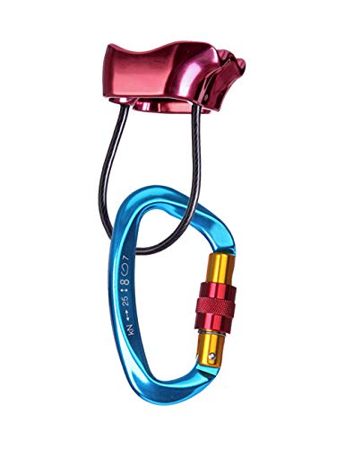 besbomig Mousqueton à Verrouillage 25KN Fermeture à Vis Dispositif Assurage - D Forme Mousqueton Escalade avec ATC Escalade Descendeur pour Alpinisme Camping Pêche Randonnée