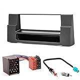 für BMW 5er (E39); X5 (E53) Faszie mit 182 * 53 mm + ISO Adapter + Antennenadapter fakra