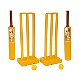 Niño amigable de juego de cricket