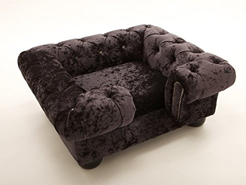 Balmoral-Pet-sofa-in-Ebony-Crushed-velvet-with-matching-lux-fill-cushion